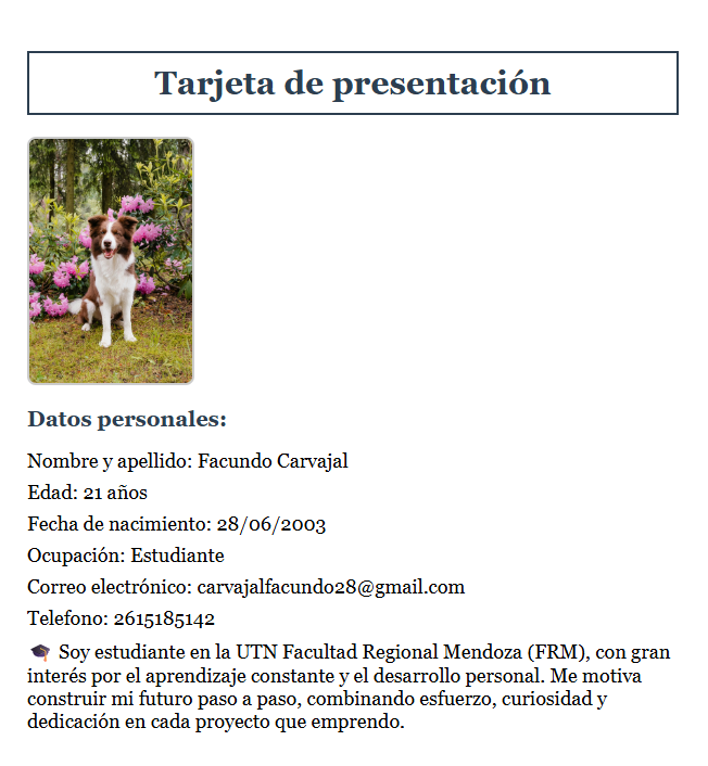 Proyecto 1